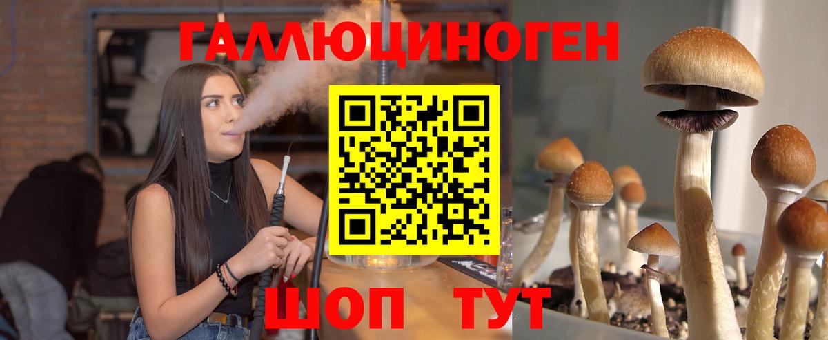 Владивосток  купить наркотики сайты  Вход с VPN  Галлюциногенные грибы мухоморы 